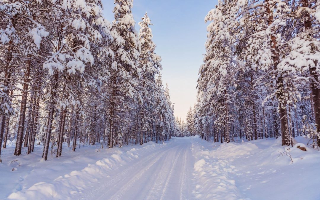 Informacje praktyczne dotyczące naszego zimowego wyjazdu do Laponii w Szwecji