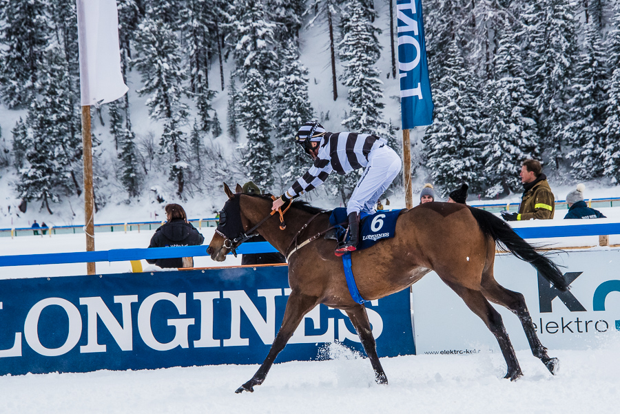 Wyścigi konne White Turf w St. Moritz oraz co w St. Moritz warto zobaczyć