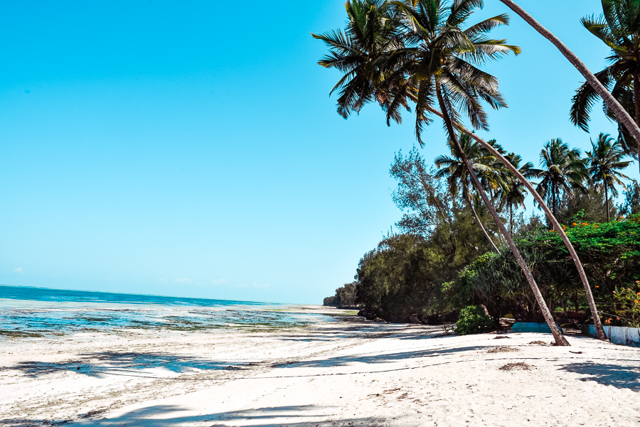 Zanzibar retreat- rajski odpoczynek połączony ze zwiedzaniem wyspy